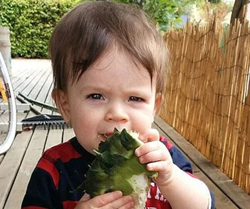 Toddler on a deck chewing a green, spiky fruit with a bamboo fence behind.