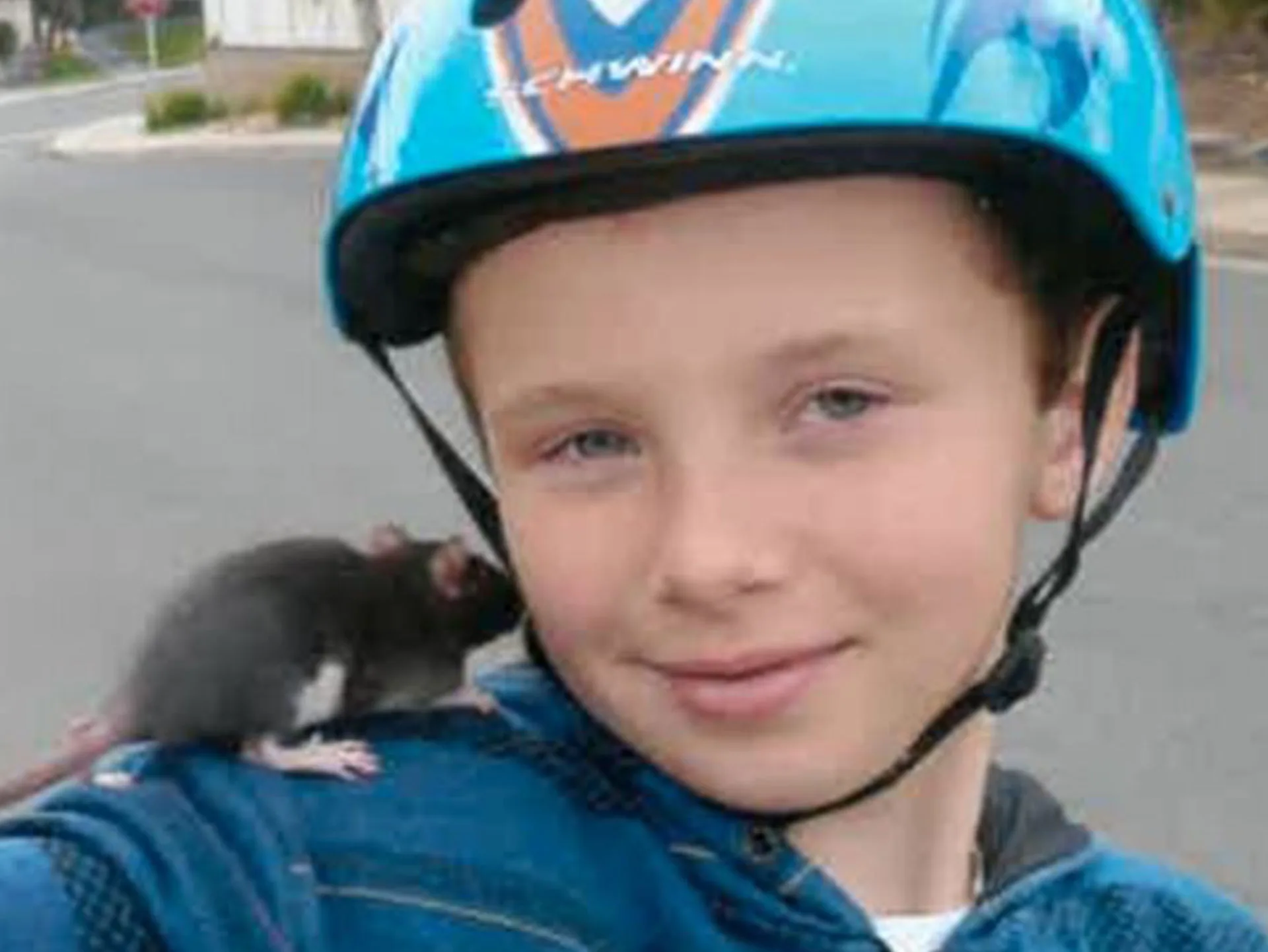 Ten-year-old boy dies from rat bite fever after buying infected pet rat