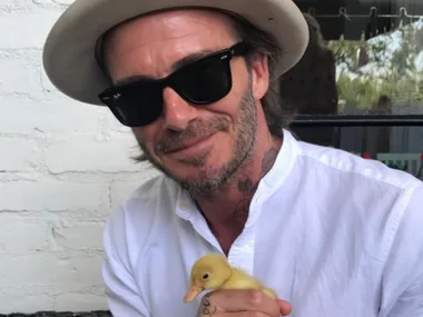 David Beckham 