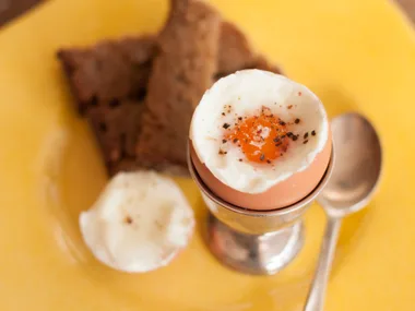 egg facts