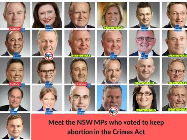 Collage of 26 NSW MPs who voted to keep abortion in the Crimes Act, with party logos displayed.