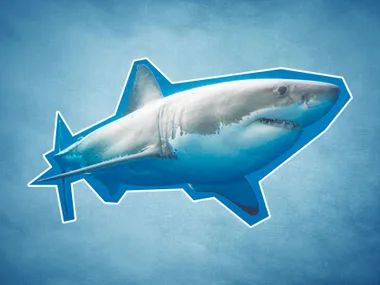 Great white shark in ocean against textured blue background.