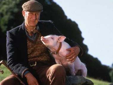 Babe actor James Cromwell sentenced to jail