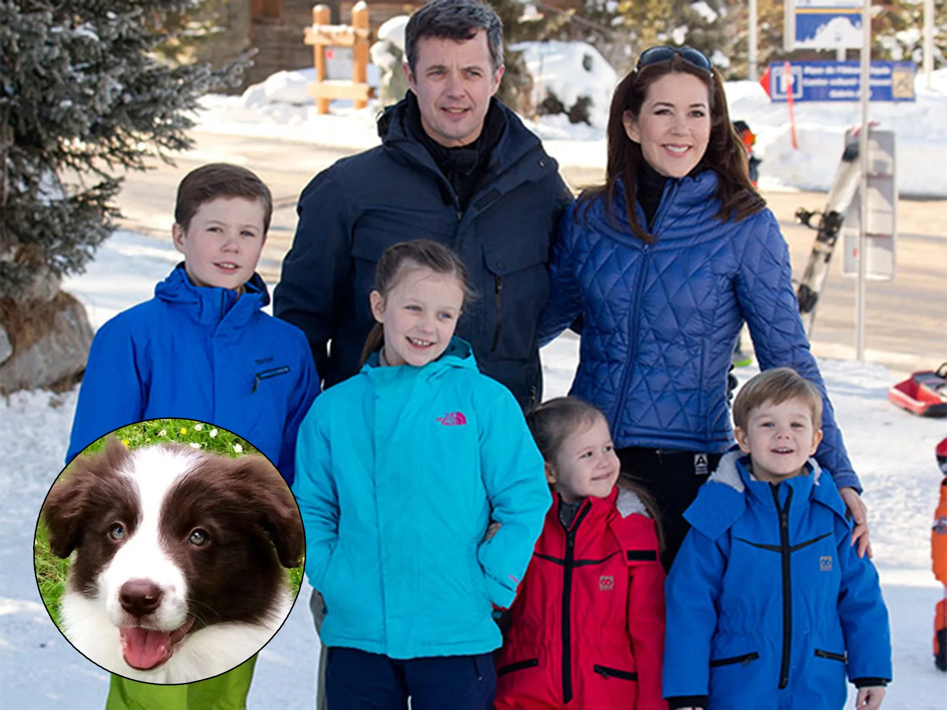 Princess Mary and Prince Frederick adopt Border Collie, Grace