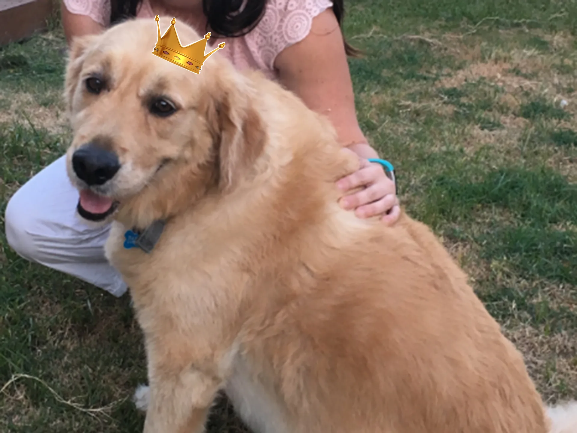 Australia’s first Biggest Pet Loser, Barkley