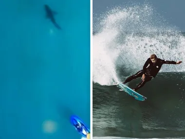 "Surfer in black wetsuit riding a wave; aerial view of a shark beneath the ocean surface nearby."