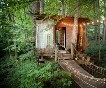 Treehouse in lush forest with hanging lights and a wooden bridge connecting to entrance.