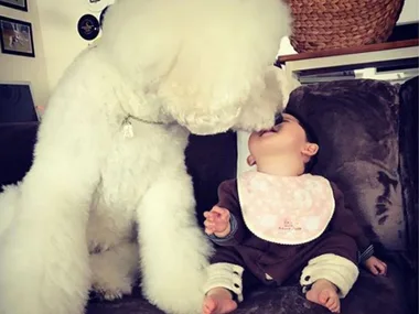 Baby sitting on a couch being nuzzled by a large fluffy white dog, both looking playful and affectionate.