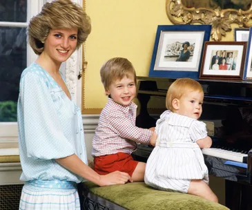 Princess diana golliwogs toys prince harry prince william