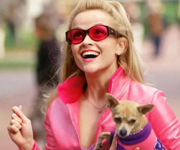 Person in pink jacket and red sunglasses holding a small dog wearing a purple sweater.