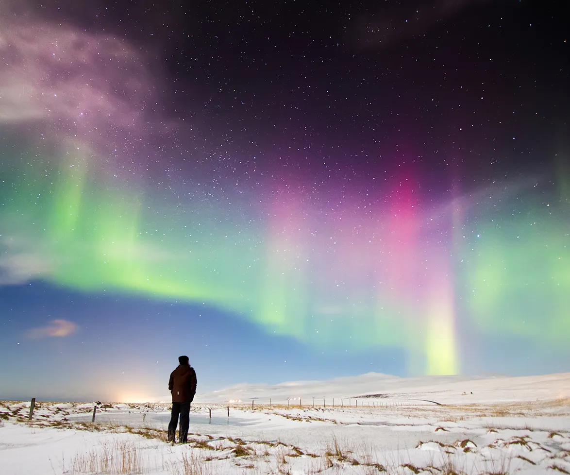 iceland best job ever