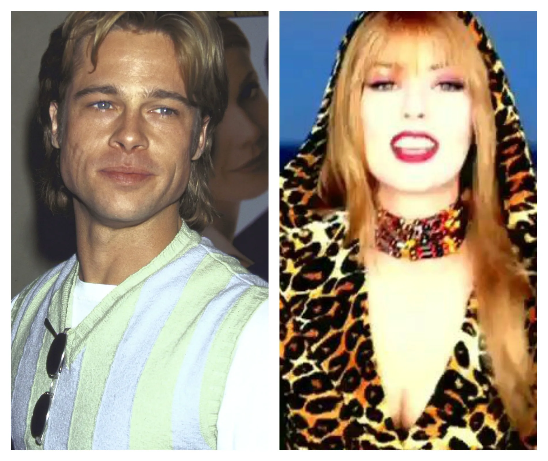 Shania Twain, Brad Pitt