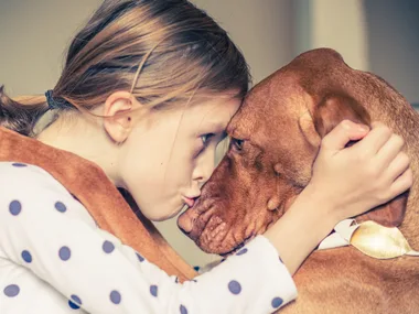 8 easy DIY hacks for tricky pet problems