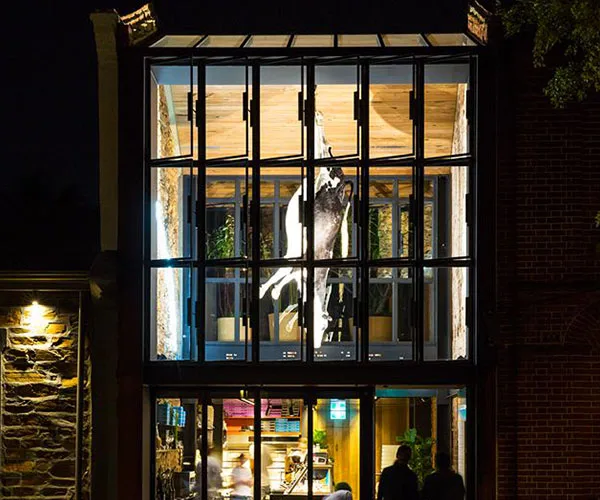 Pizzeria in Adelaide is refusing to remove a dead cow hanging from their ceiling