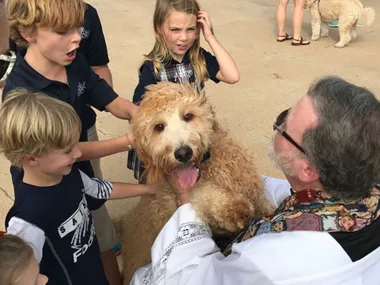 A priest is blessing a fluffy golden dog surrounded by children, while another dog is seen in the background.