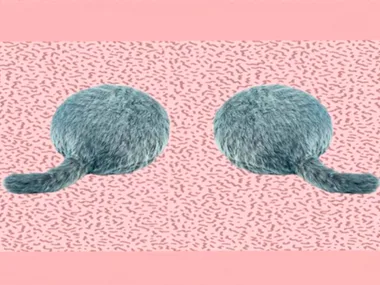 Two round, fluffy robot cat cushions with tails on a pink background with scattered patterns.