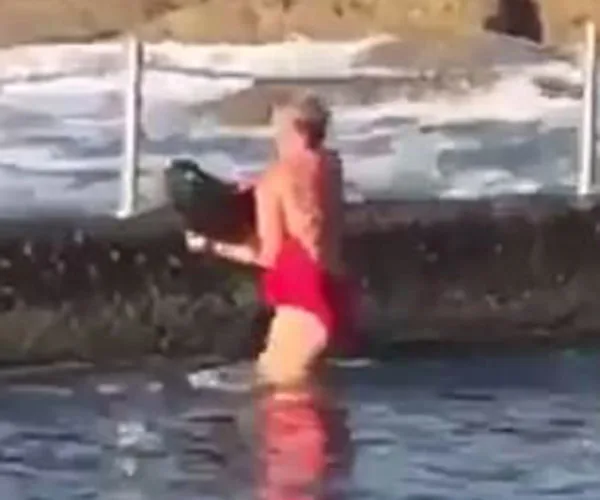 Shark in Cronulla
