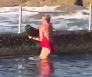 Shark in Cronulla