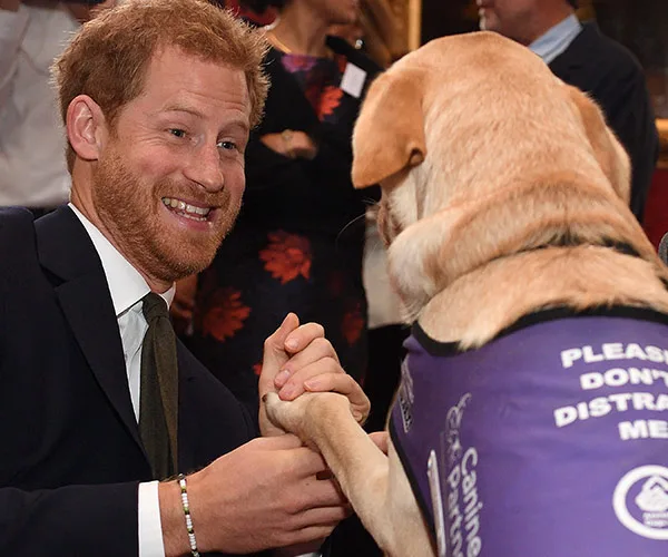 Prince Harry