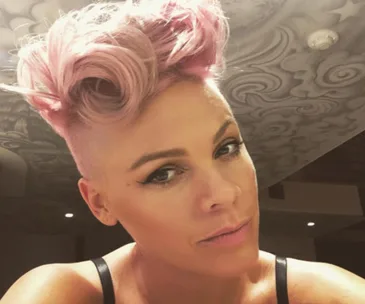 Pink and Carey Hart