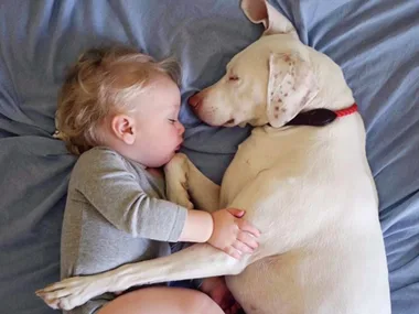 A baby sleeps cuddled next to a white dog on a blue bed.