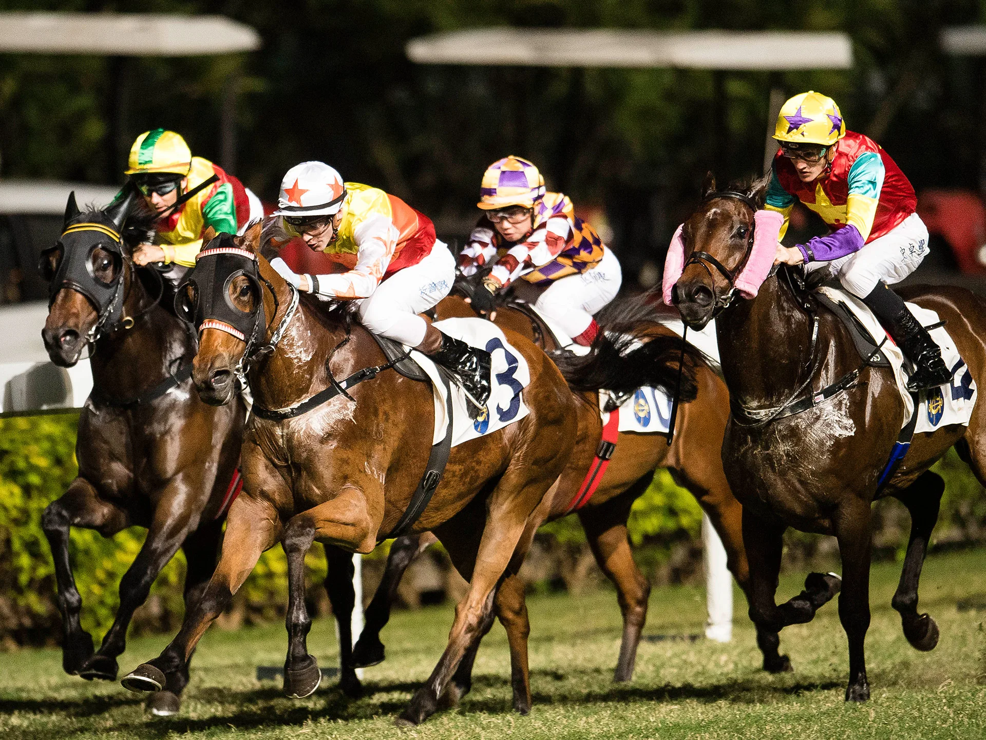 Four jockeys in colorful gear racing horses on a grassy track.