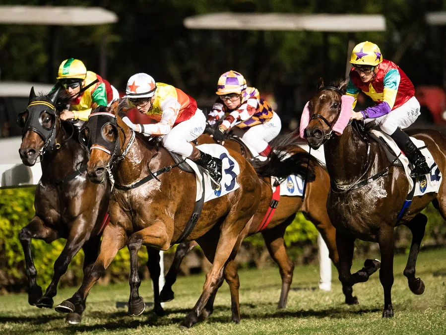 Four jockeys in colorful gear racing horses on a grassy track.