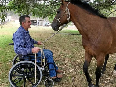 Man in a wheelchair smiles at a horse, holding its lead rope under a tree.