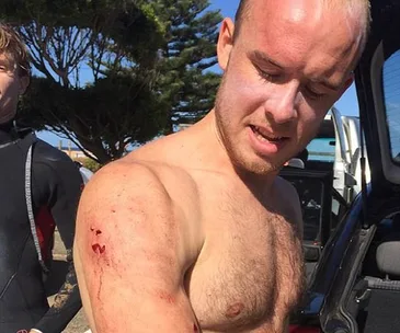 Surfer punches shark in the face