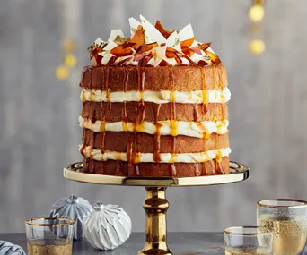 sugar and spice christmas cake