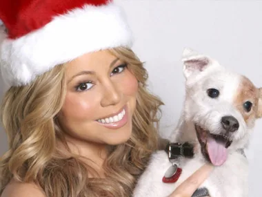 A person in a Santa hat smiling with a small white dog with a brown patch, both looking joyful.