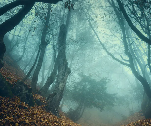 Real life ghost hunters