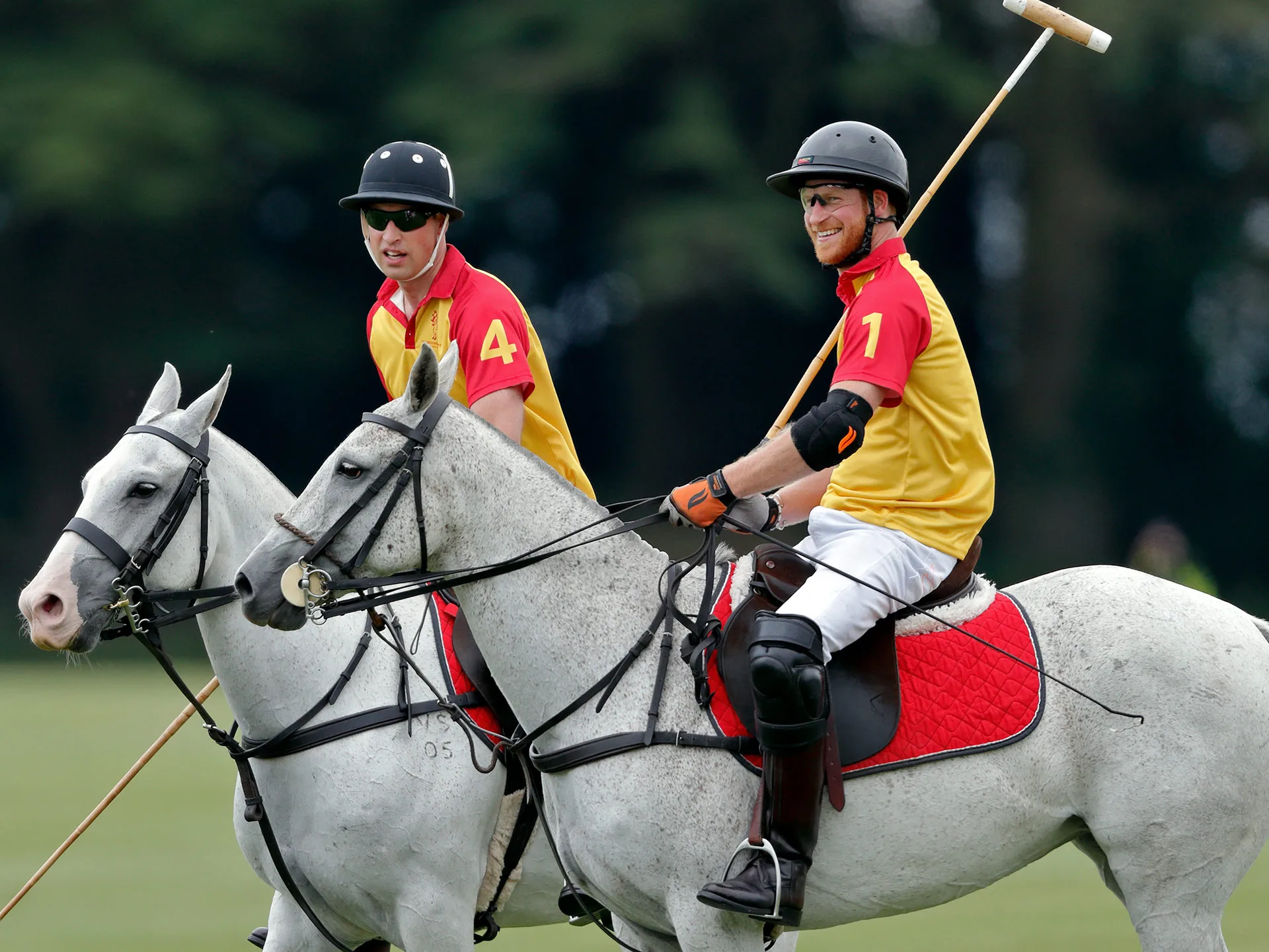 Prince harry polo