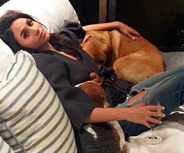 Meghan Markle dogs