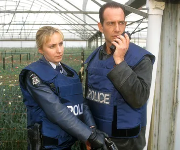lisa mccune