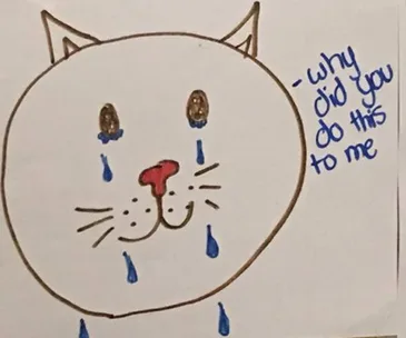Drawing of a cat with tears and text saying, "Why did you do this to me?" indicating sadness.