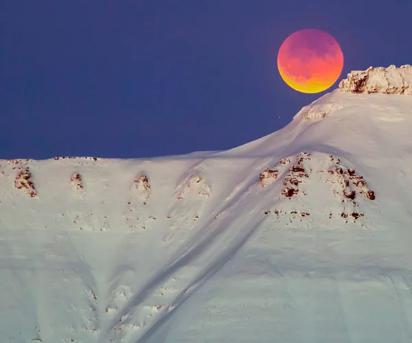 The best pictures of last night's super blue blood moon