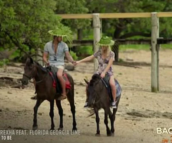 Bachelor in Paradise