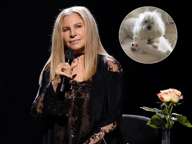 Barbra Streisand holding a microphone on stage, with an inset of a fluffy white dog lying next to a toy.