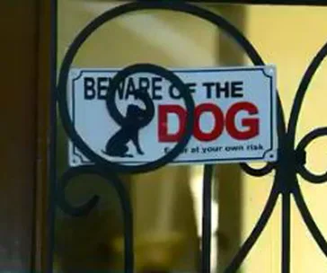 Dog attack