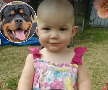Friends and family mourn “beautiful angel” baby girl mauled to death by Rottweiler