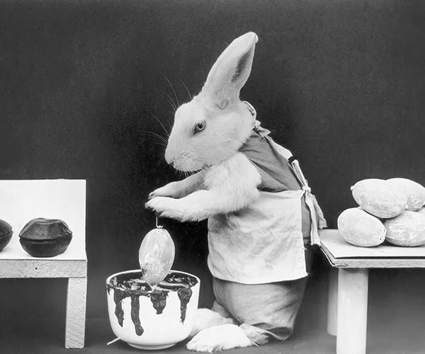 A rabbit wearing an apron stands on hind legs, decorating Easter eggs with chocolate.