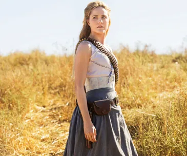 evan rachel wood westworld