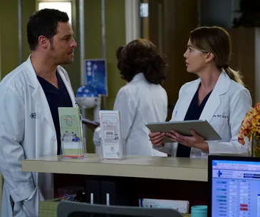 greys anatomy