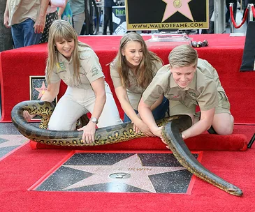 Family poses with a large snake on Steve Irwin's Hollywood Walk of Fame star, smiling and dressed in khaki outfits.