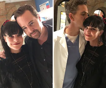 pauley perrette