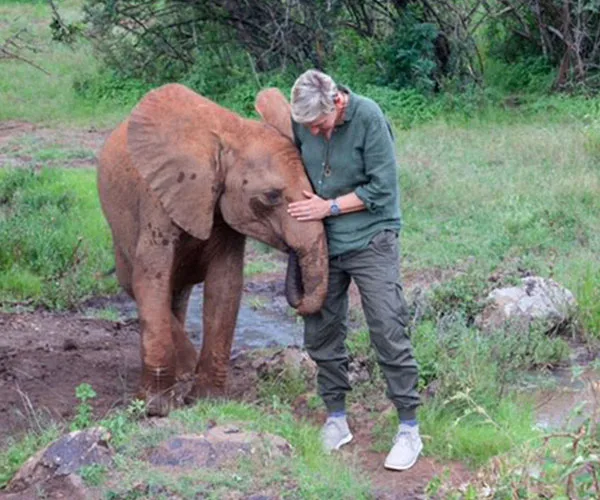 Person gently leaning against a baby elephant, surrounded by greenery in a natural setting.