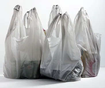 Plastic shopping bags filled with various items, standing upright against a plain background.