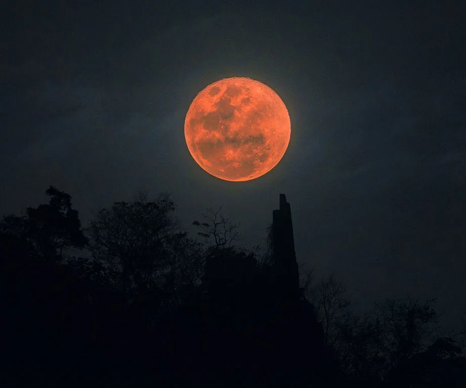 Blood Moon during lunar eclipse over tree silhouette at night.