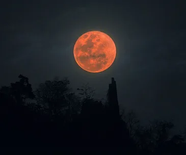 Blood Moon during lunar eclipse over tree silhouette at night.